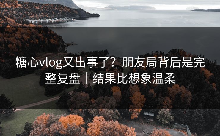 糖心vlog又出事了？朋友局背后是完整复盘｜结果比想象温柔